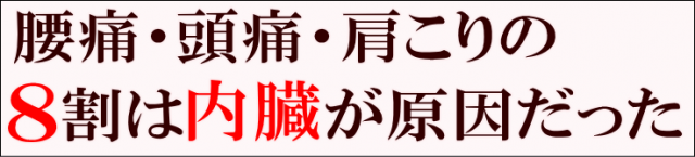 慢性痛・ぶり返す痛みのの 8割は内臓が原因だった