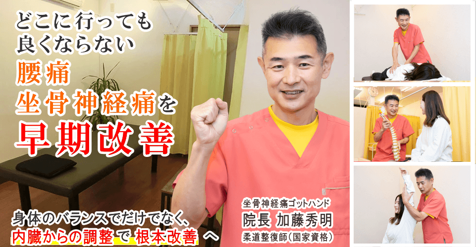 狭山で腰痛・坐骨神経痛でお悩みならば、かとう整骨院