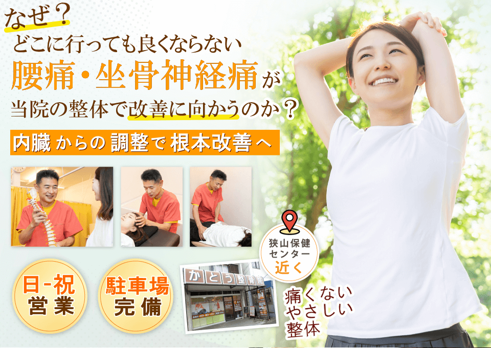 狭山で腰痛・坐骨神経痛でお悩みならば、かとう整骨院